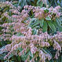 Dsc00067_edited