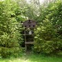 Our Wildlife house 