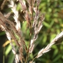 Imgp0582