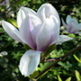 Dsc04265