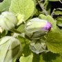Dsc00835
