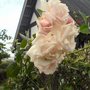 Dsc00805