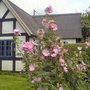 Dsc00828