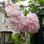 July_12th_00061