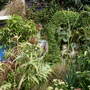 my overgrown garden i love it