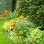 my bright semi circle border