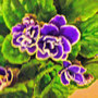 Dsc00064_edited