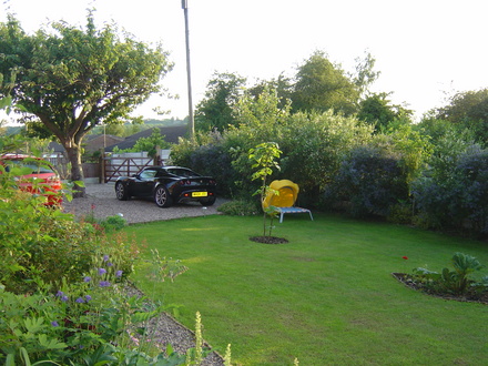 Front Garden (ceanothus Italian Skies)