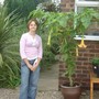 My eldest daughter and the Brugmansia (Brugmansia yellow)