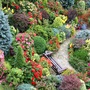 top border 27 August
