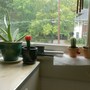 Succulents at the Apartment