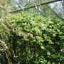 Dscn1334