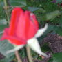 Dscn1335
