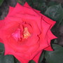 Dscn1337