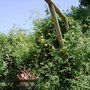 Dscn1338