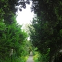 Path to Bosham church