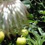 Dscn1340