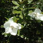 Dscn1345