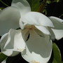 Dscn1346
