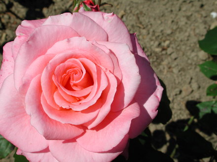 DSCN1347.jpg