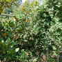 Dscn1349