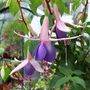 Picture_023