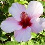 Dsci0124