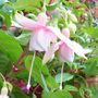 Picture_224