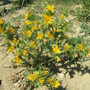 Dscn3007