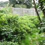 Wild Area Behind larauls 