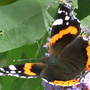 Dscf0044_1_