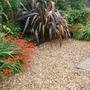Home (Crocosmia x crocosmiiflora (Montbretia))