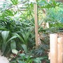 shady area