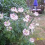Home_crap_home_010