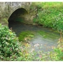 Riverside Midhurst