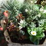 Celtic_tub_2