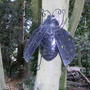 Summer_2008_006