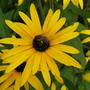 Summer_2008_012