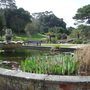 Ventnor Botanical Gardens