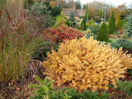 Foxhollow, in late November.
