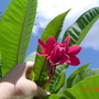 Dsc01752
