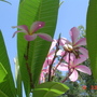 Dsc01754