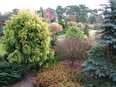 Foxhollow, in late November