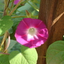 Copy_of_dsc00575