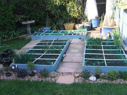 Square Foot Garden