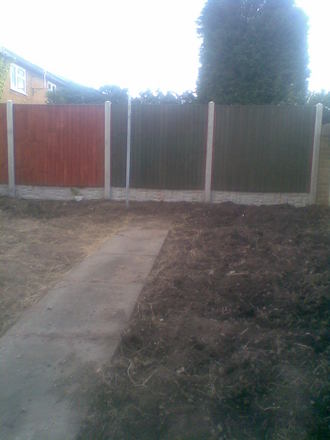 My garden