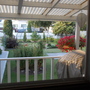 View from the Kitchen Window
