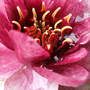 Dscf0198
