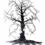 how many faces can you see (just a bit of fun)