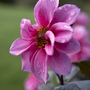 Bromley_hall_oct_07-278
